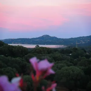 https://agriturismo-sa-mendhula.in-sardinia.net